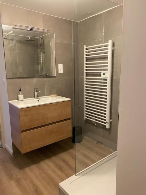 Maison Entiere 6 Personnes Jardin Terrasses Et Garage Hébergement de vacances Nancy